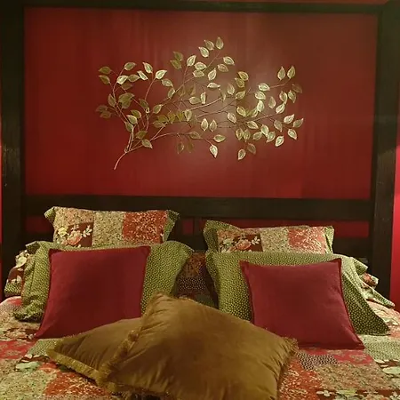 La De Plume Guest house *